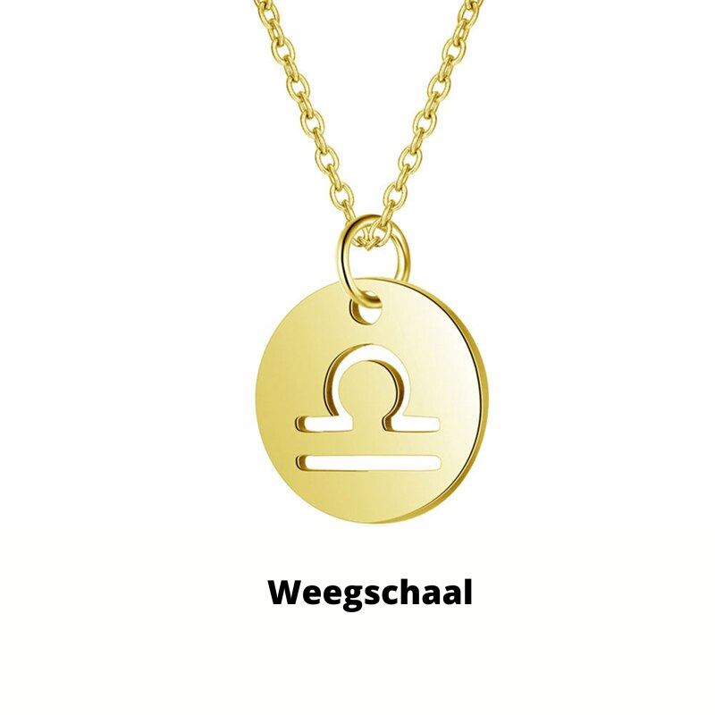 Eco Friendly Zodiac Pendant Stainless Steel Necklace