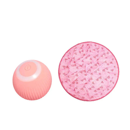 Dual Action Feather Teaser Cat Toy