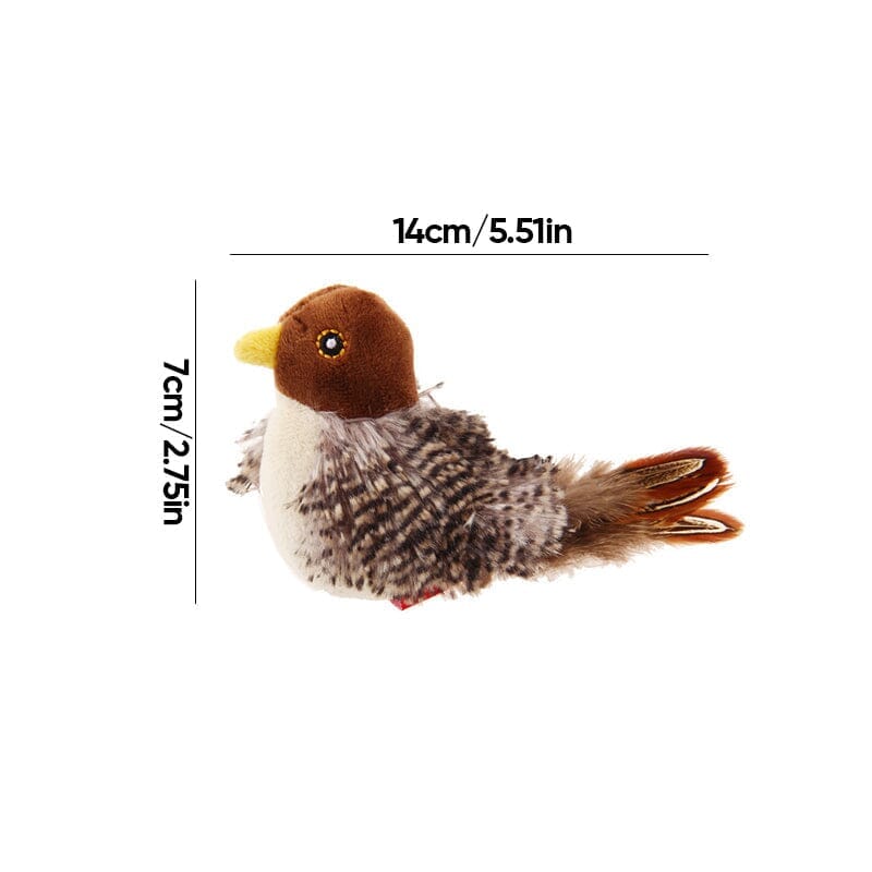 Fun Feather Teaser Toy