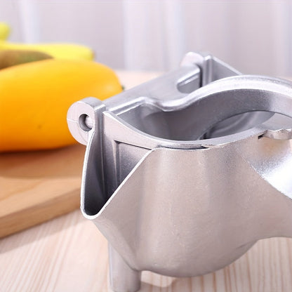 Easy to Use Home Juice Extractor Machine
