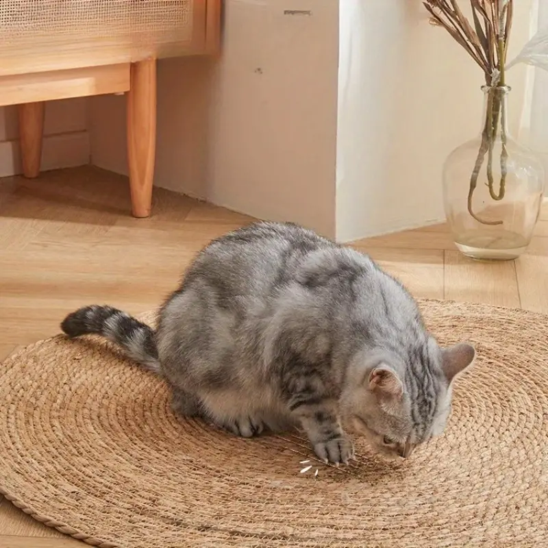 Durable Scratch Guard Cat Tower