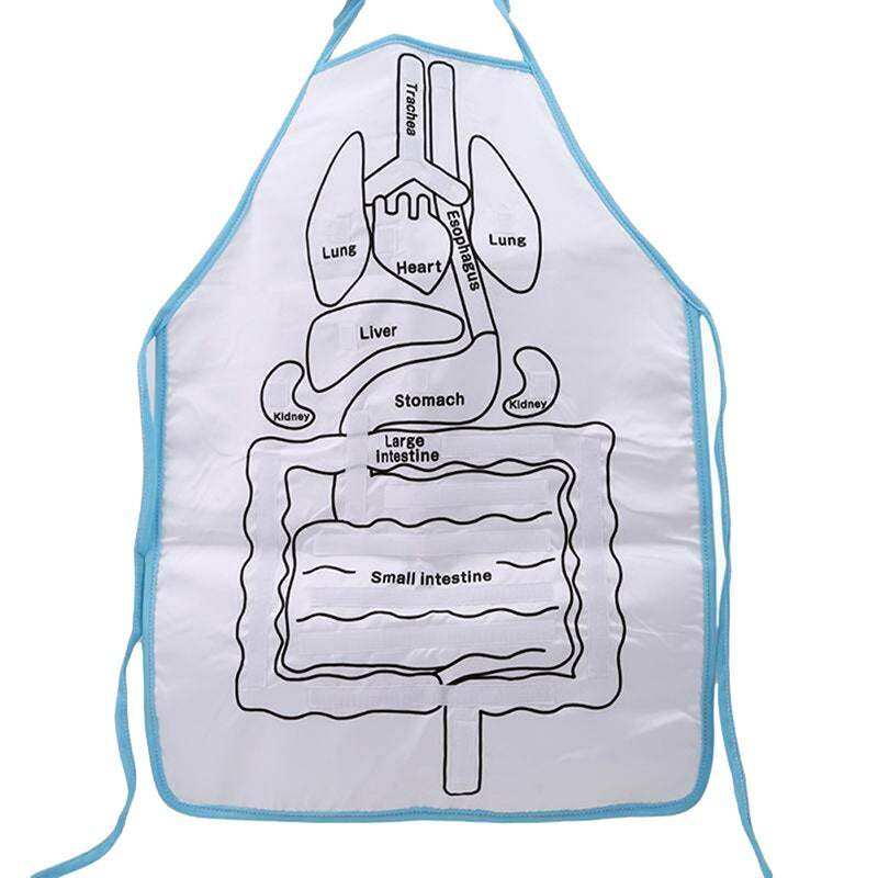 Fun Interactive Anatomy Apron