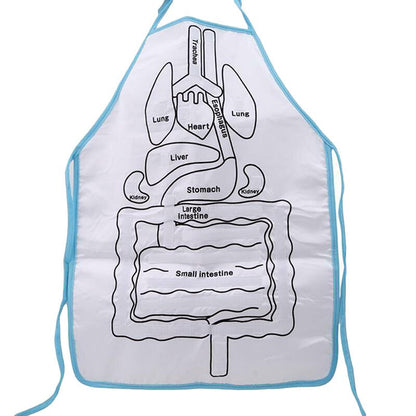 Fun Interactive Anatomy Apron