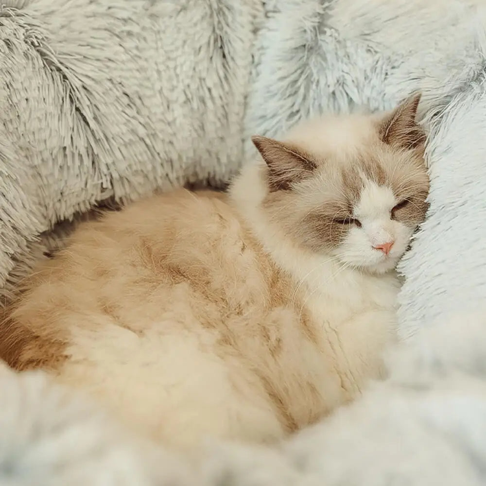 Cozy Cat Hideaway Bed Tunnel