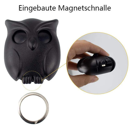 Cute Owl Wall Key Holder