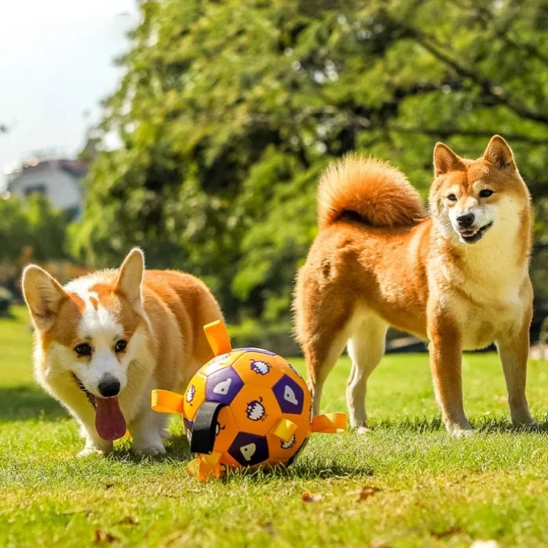 Fun Dog Rope Ball Interactive Toy