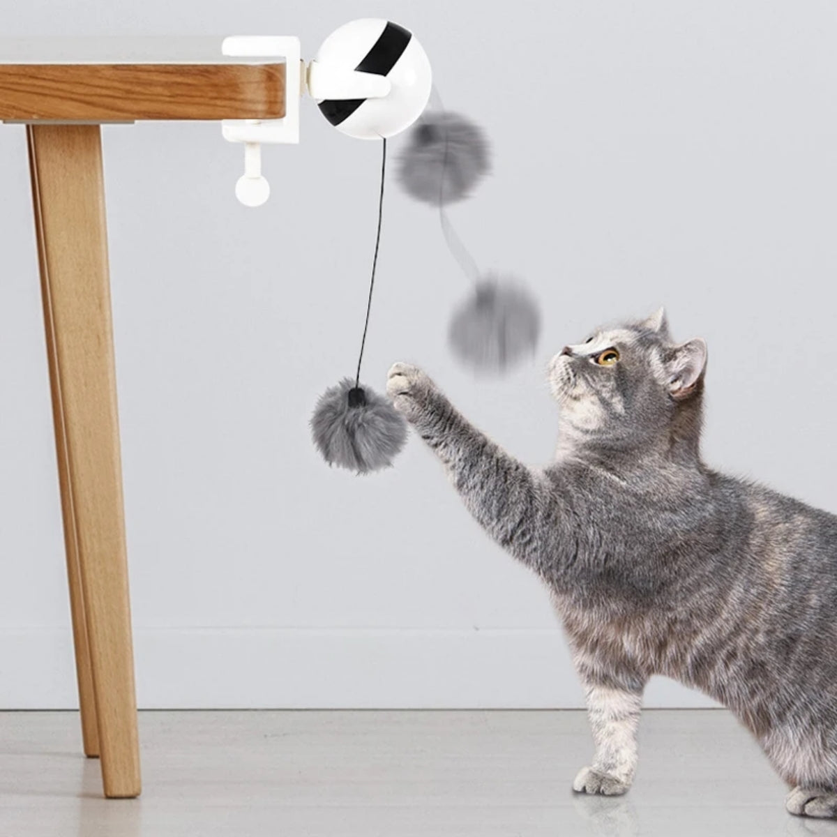 Interactive LED Motion Cat Toy Ball