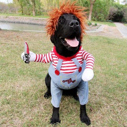 Funny Pet Halloween Outfit - Befez