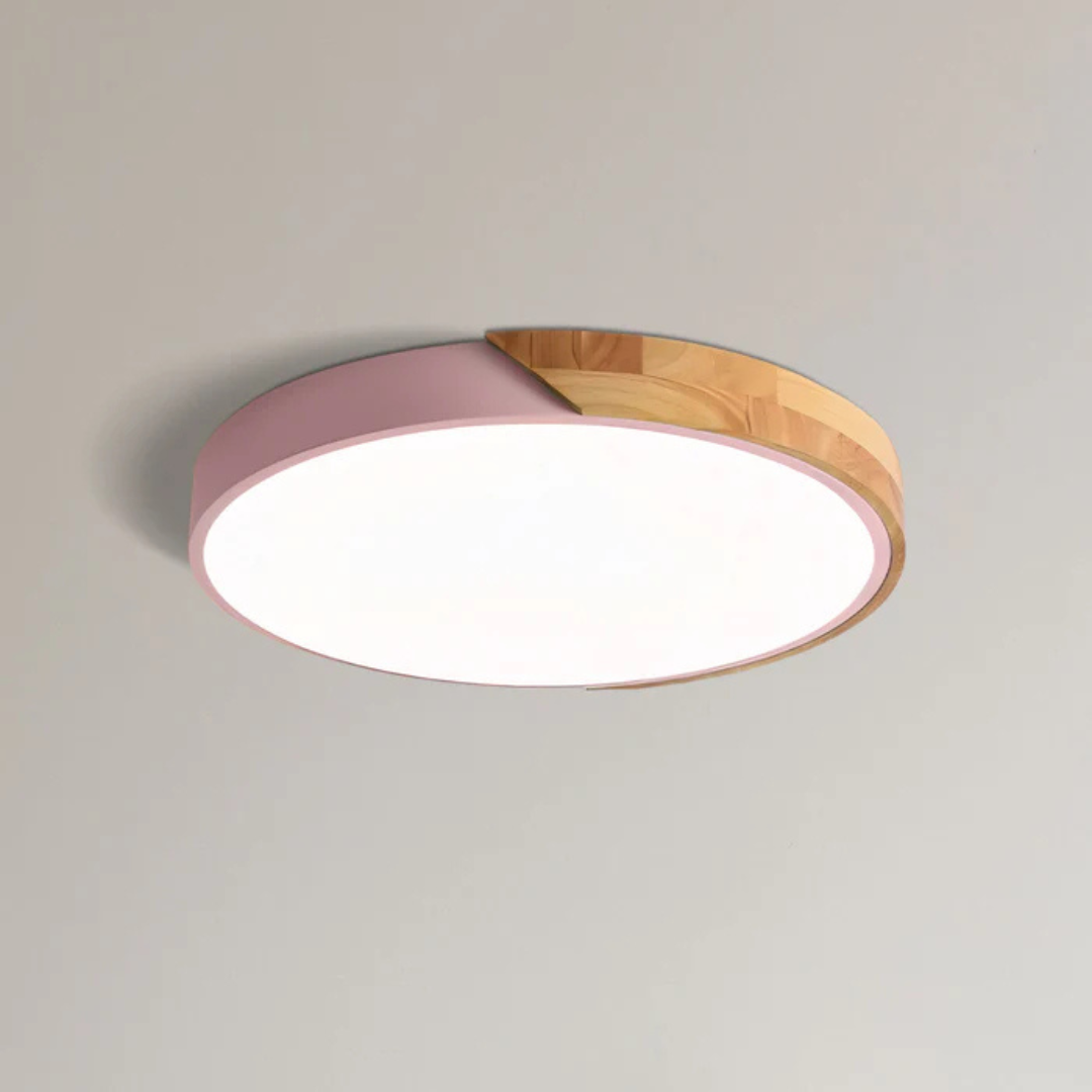 Modern Nordic LED Ceiling Light