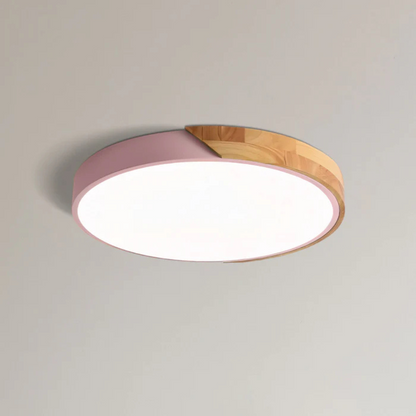 Modern Nordic LED Ceiling Light