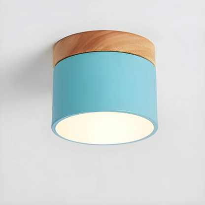 Classic Retro Style LED Light Fixture