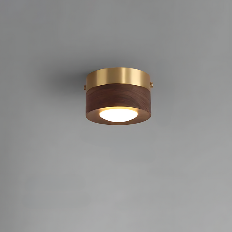 Brown Wooden Ceiling Lamp with LED Lights