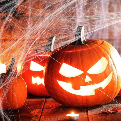 Creepy Halloween Decor, Stretchy Spider Web