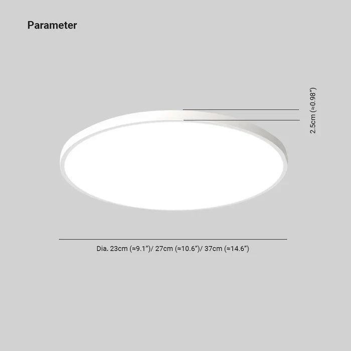 Bright LED Ceiling Lamp