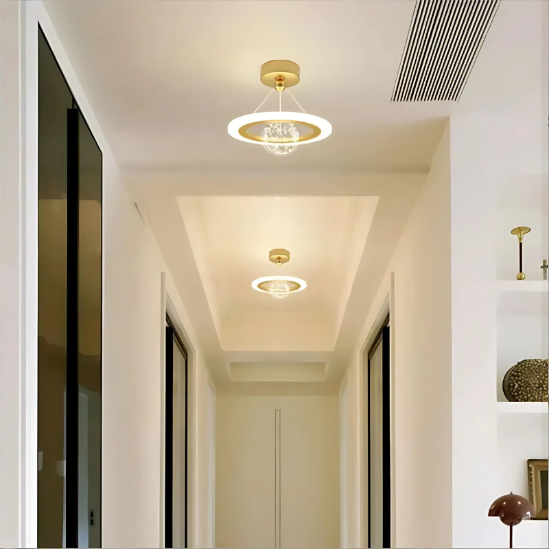 Modern Dimmable LED Ceiling Lamp