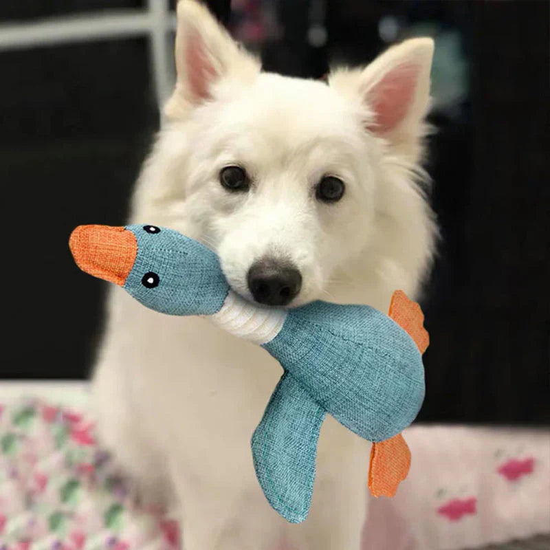 Buy 1 Get 1 Free Dog Toys Set