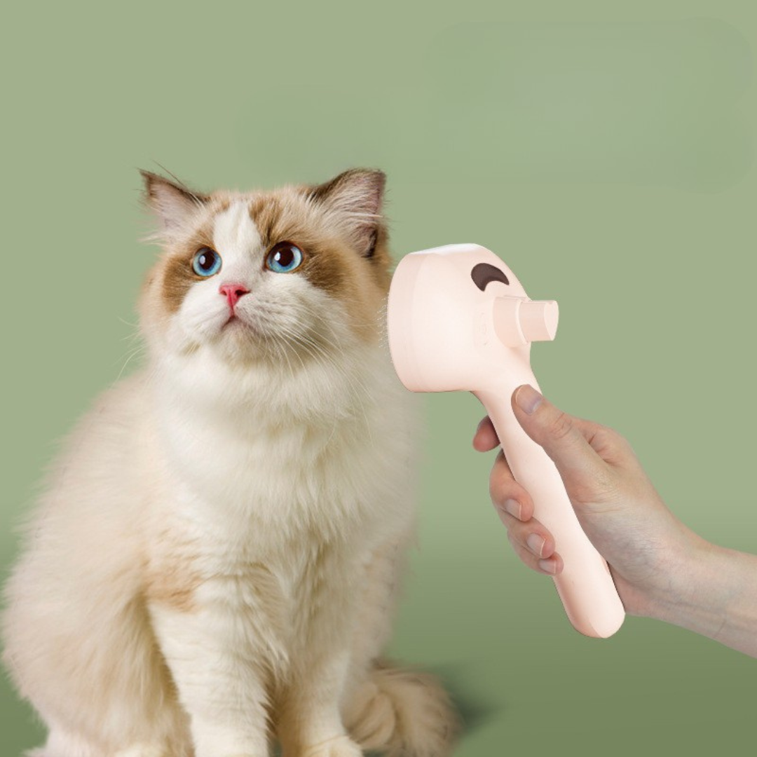 Advanced Pet Grooming Steam Brush Befez