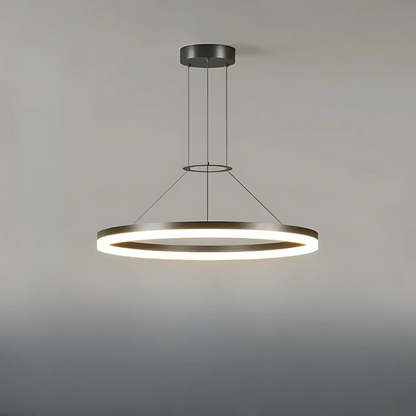 Simple Stylish LED Hanging Light for Home