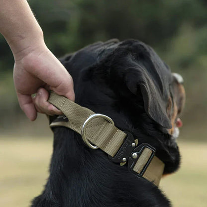 Durable Pet Collar with Handle - Secure Dog Harness