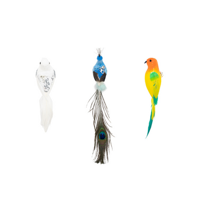 Fun Feather Cat Teaser Toy