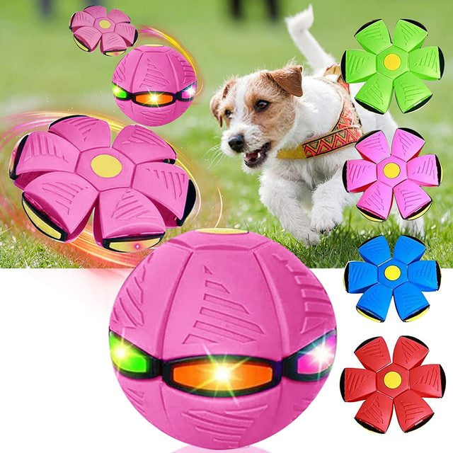 Fun Dog Fetch Ball Toy