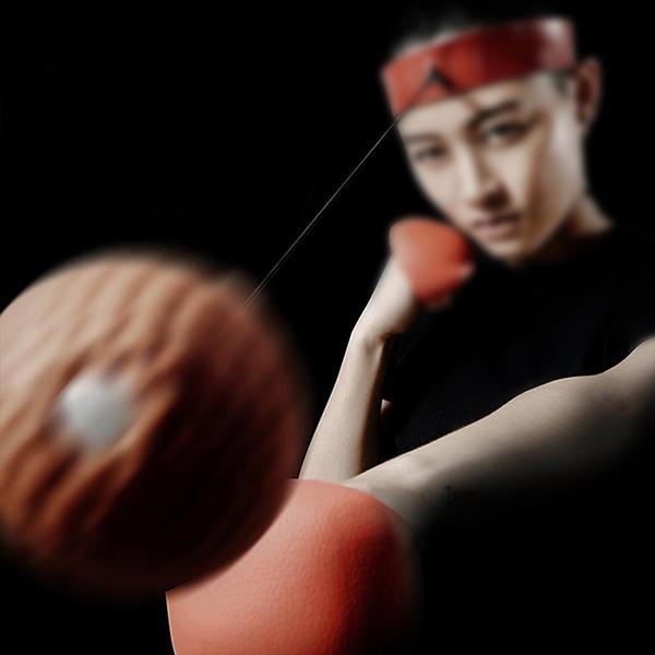 Pro Boxing Punching Bag Set