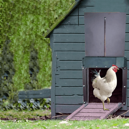 Easy Close Chicken Coop Door Opener