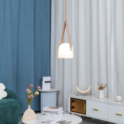 Stylish Metal Glass Pendant Ceiling Light