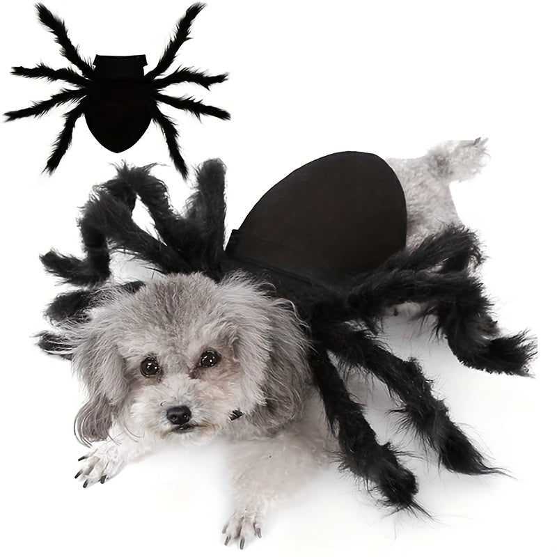 Cute Pet Spider Dog Halloween Costume