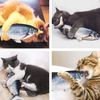 Fun Animated Fish Pet Toy