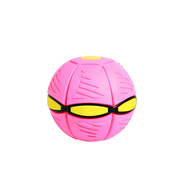 Fun Interactive Bouncy Ball Toy