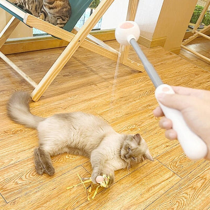Fun Cat Wand Teaser Toy