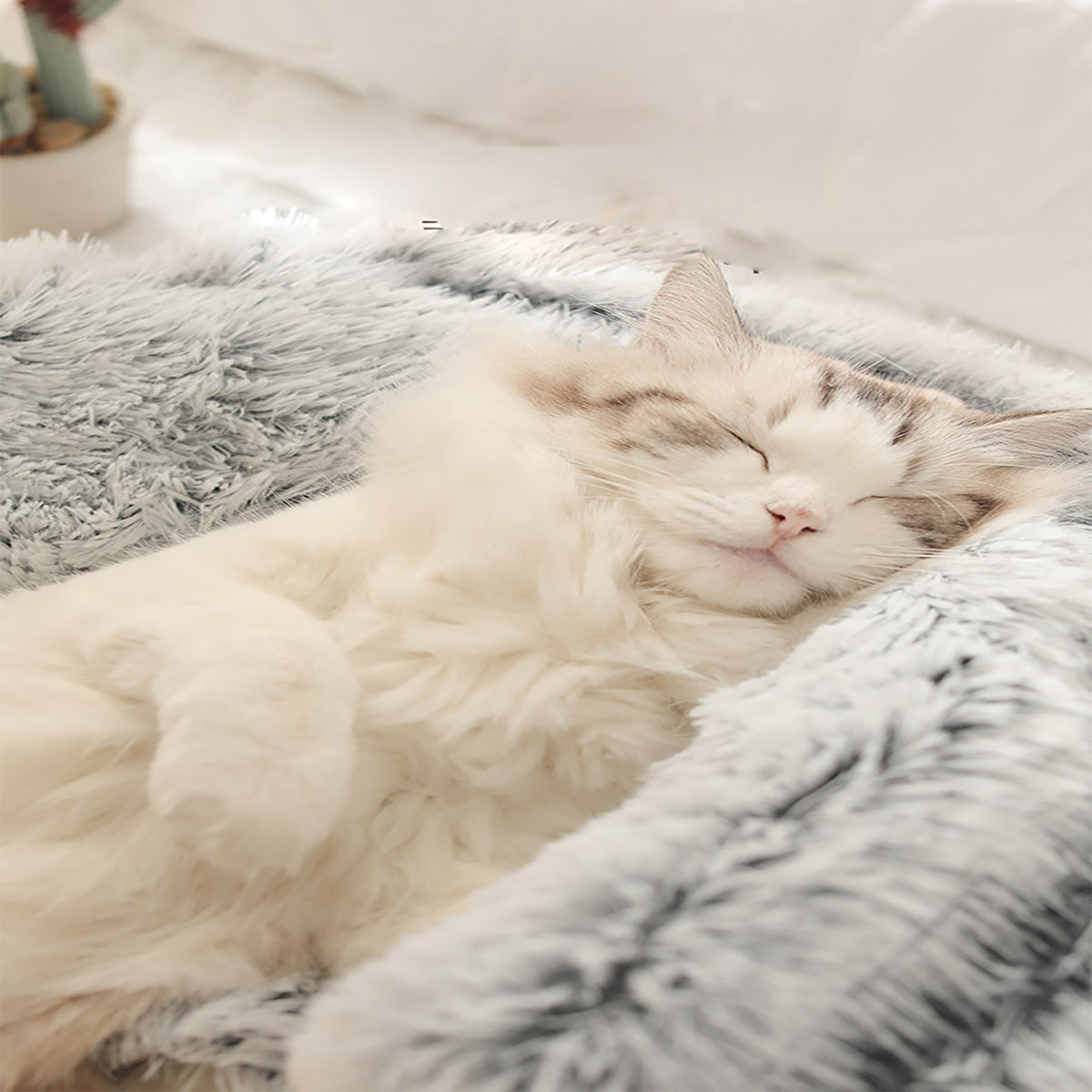Cozy Pet Bed for Calm Sleep