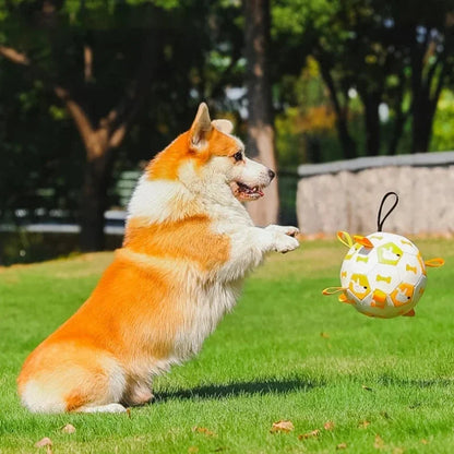 Fun Dog Rope Ball Interactive Toy