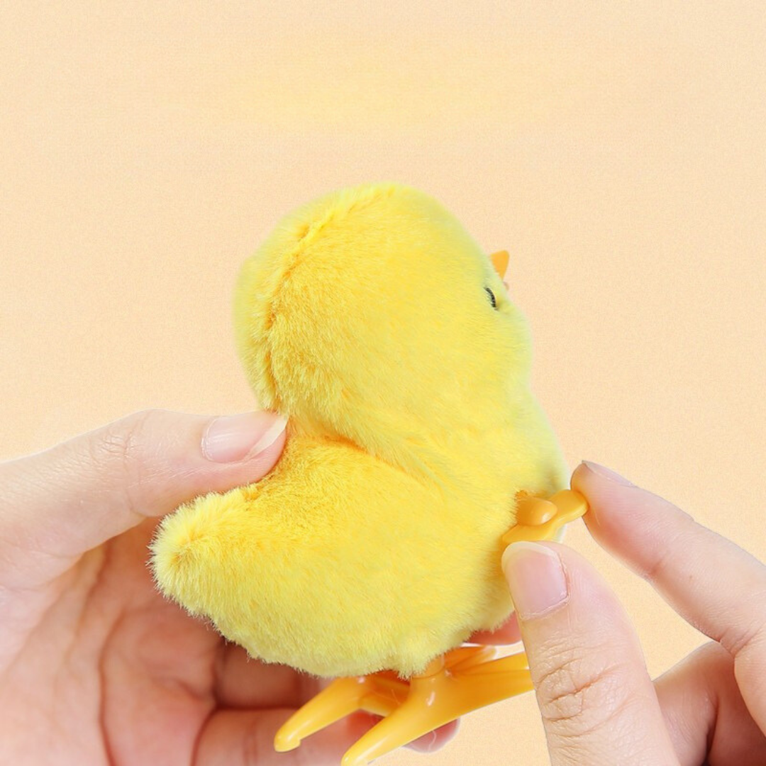 Fun Wind Up Chicken Toy