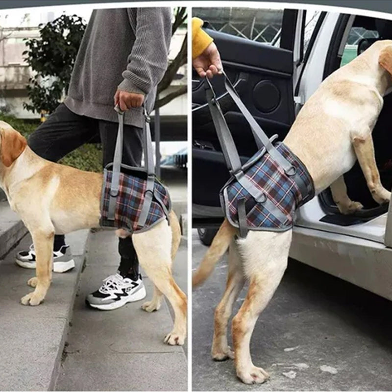 Supportive Dog Leg Brace Strap