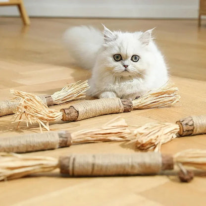 Pet Dental Chews Cat Teeth Cleaning Sticks - Befez