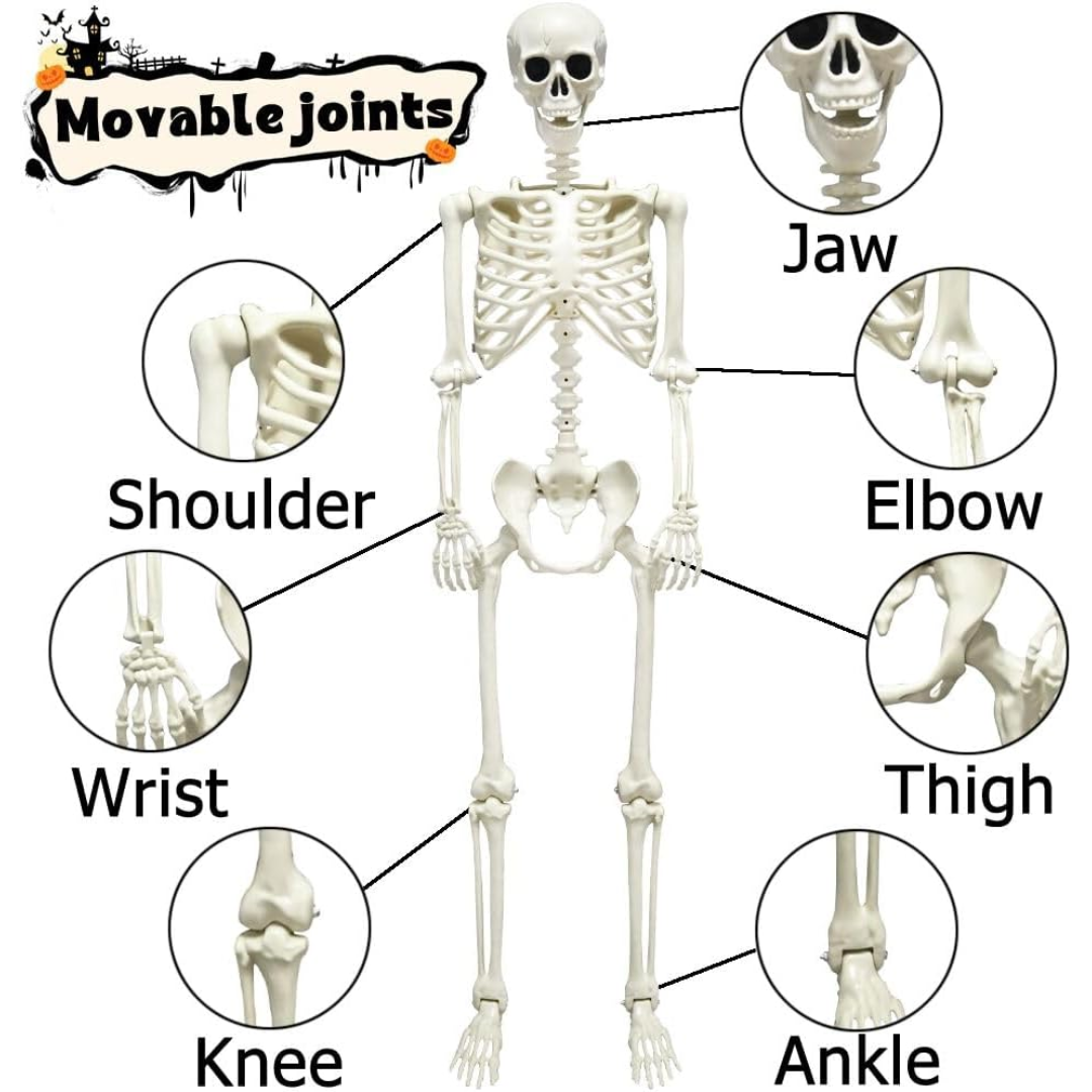 Spooky Life Size Skeleton Halloween Decor