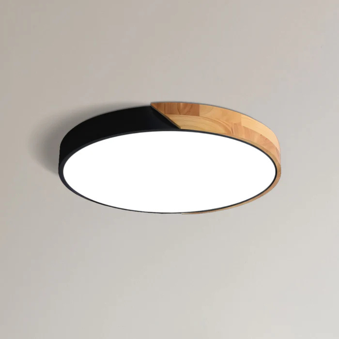 Modern Nordic LED Ceiling Light