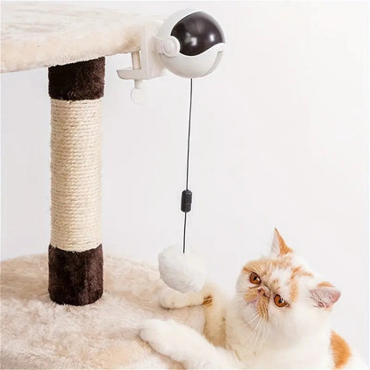 Interactive LED Motion Cat Toy Ball - Befez