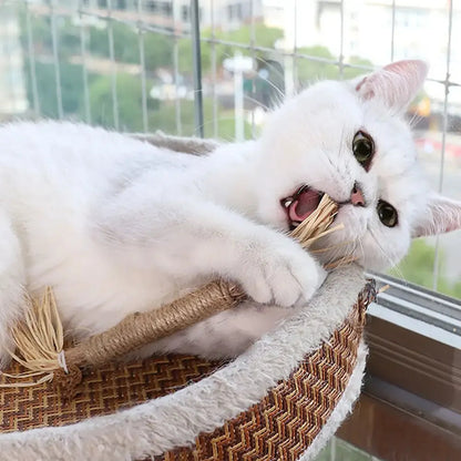 Pet Dental Chews Cat Teeth Cleaning Sticks