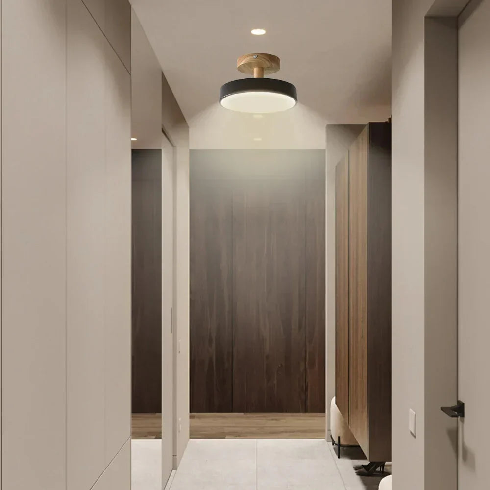 Slim Contemporary LED Ceiling Light