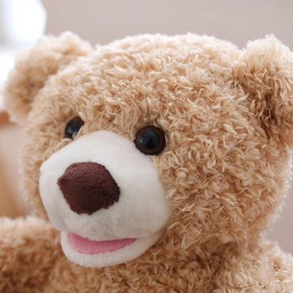 Soft Talking Teddy Bear Friend