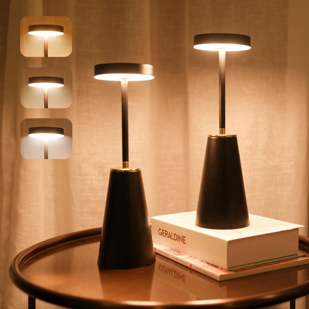 Portable LED Desk Light