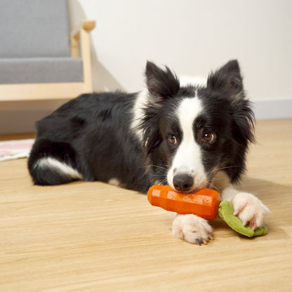 Healthy Natural Rubber Dog Chew Toy