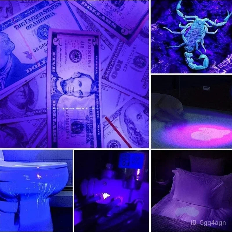 Compact UV Light for Bed Bugs and Stain Detection