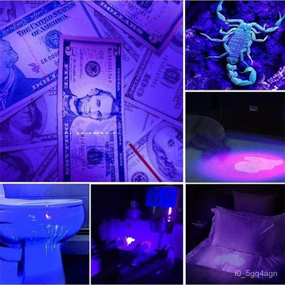 Compact UV Light for Bed Bugs and Stain Detection