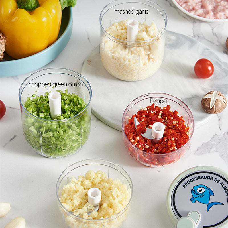 Easy Manual Quick Veggie Garlic Chopper