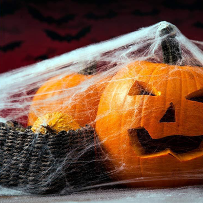 Creepy Halloween Decor, Stretchy Spider Web