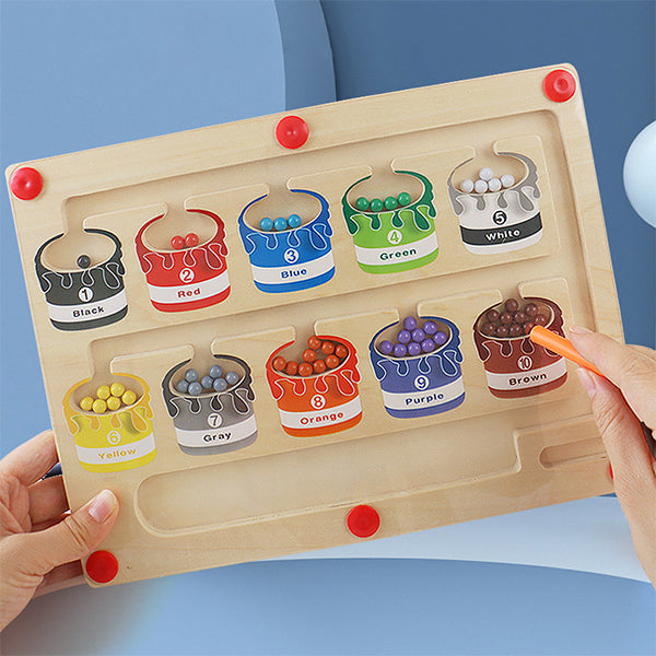 Fun Interactive Magnetic Learning Maze Toy - Befez